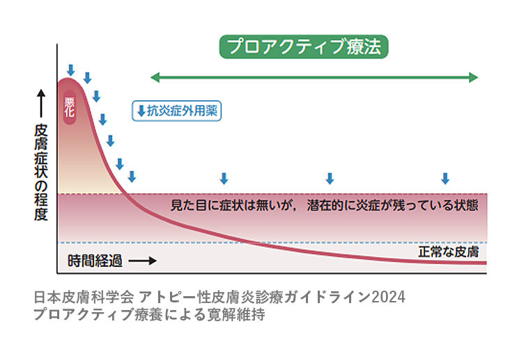 アトピー性皮膚炎診療ガイドライン2024 プロアクティブ療法による寛解維持 図表