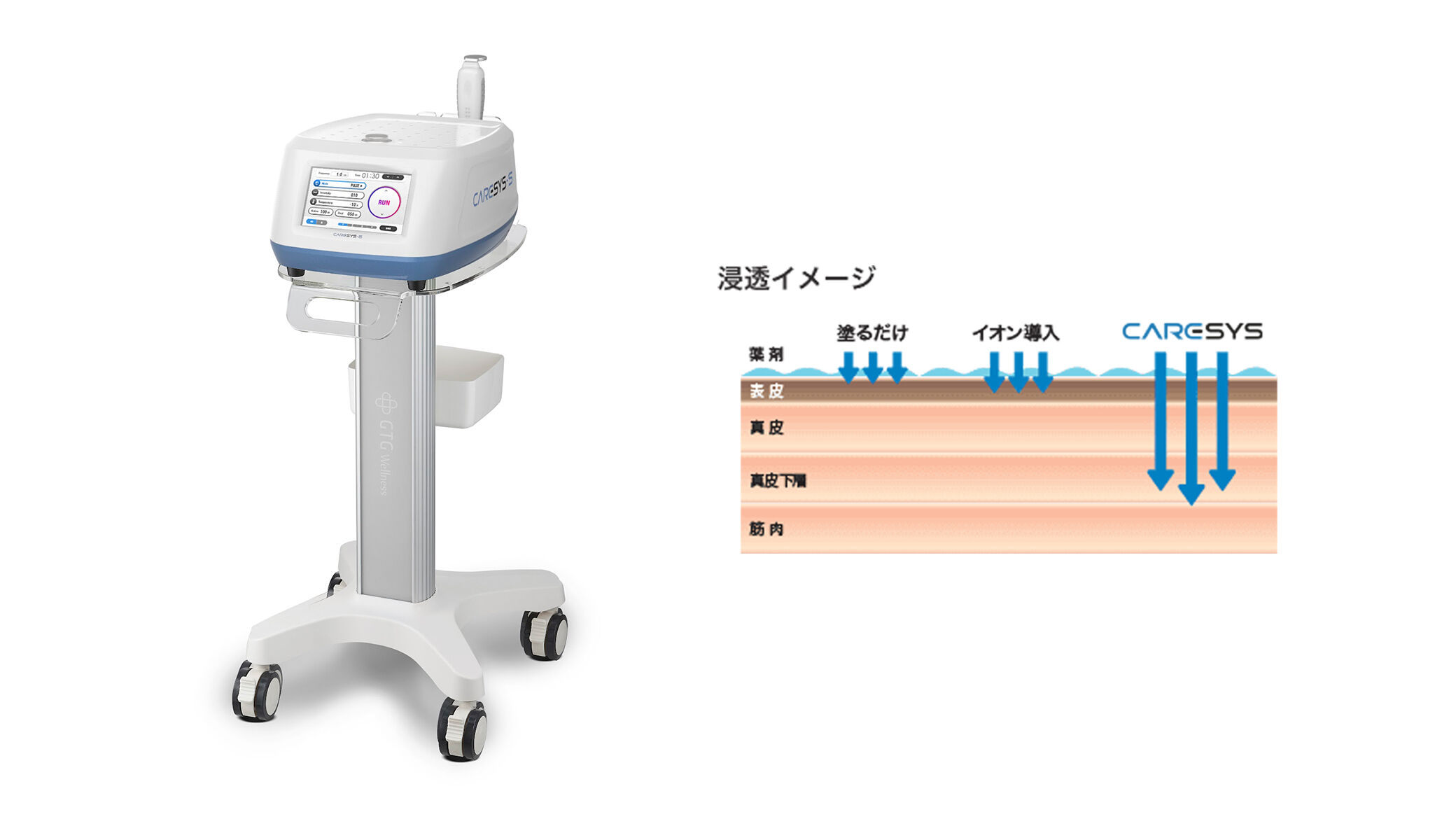機器：エレクトロポレーション